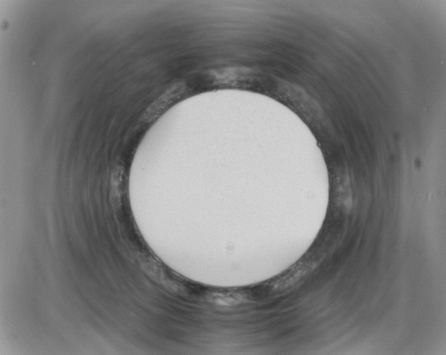 X0000086040275200704202018