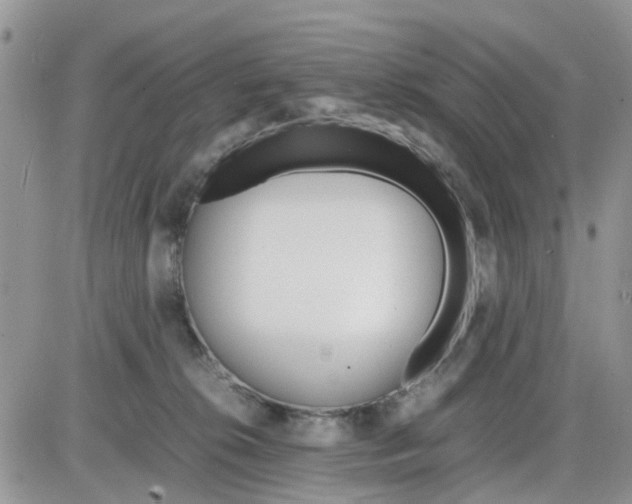 X0000086040276200704202018