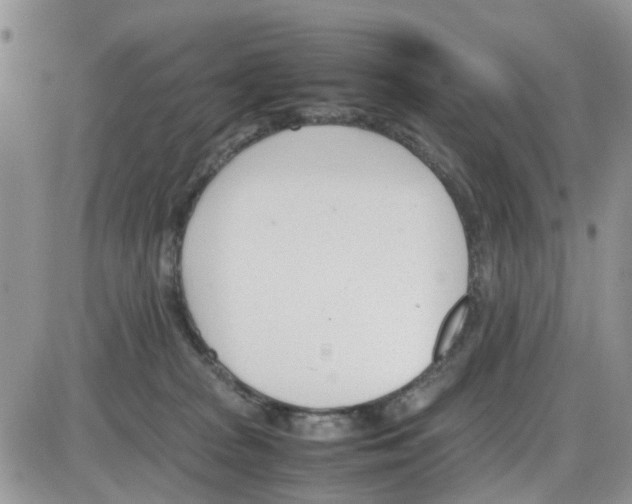 X0000086040277200704202018