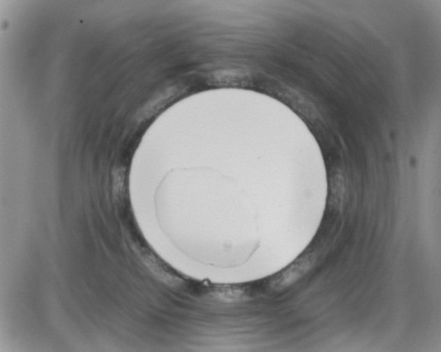 X0000086040278200704202018