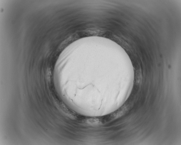 X0000086040279200704202018