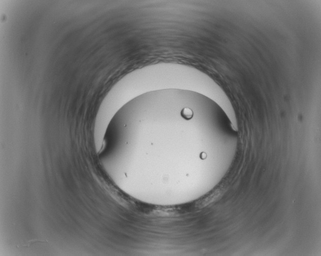 X0000086040280200704202018