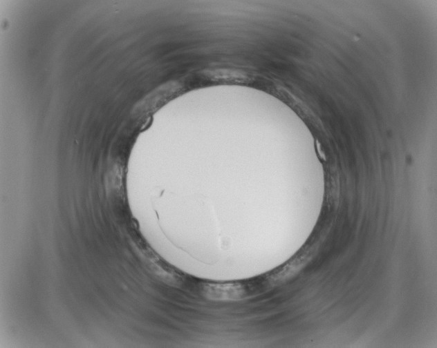 X0000086040281200704202018