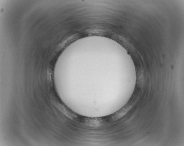 X0000086040282200704202019