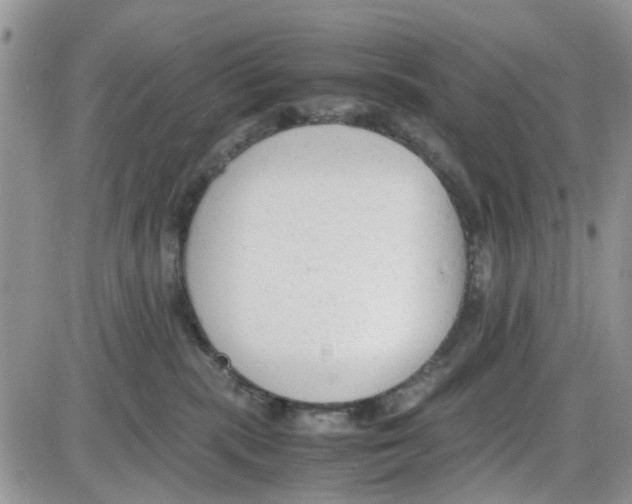 X0000086040283200704202019