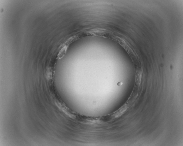 X0000086040284200704202019