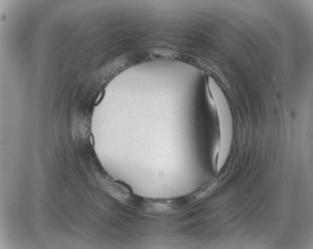 X0000086040285200704202019