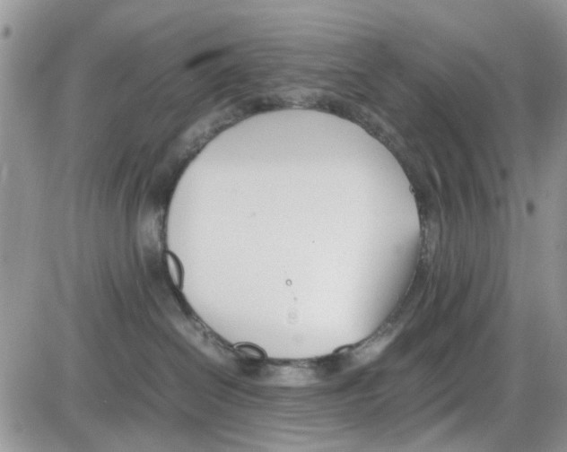 X0000086040286200704202019