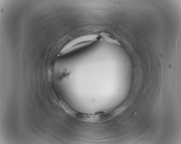 X0000086040288200704202019