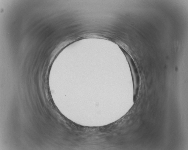 X0000086040289200704202018