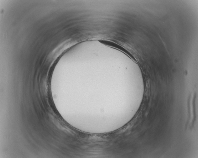 X0000086040290200704202018