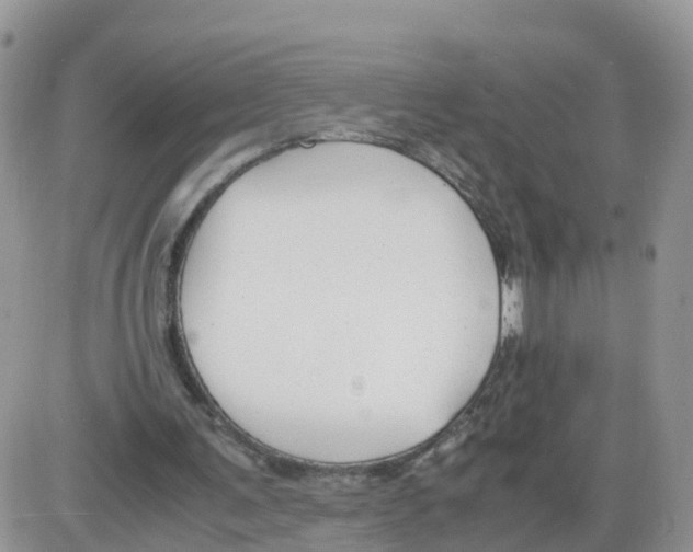 X0000086040291200704202018