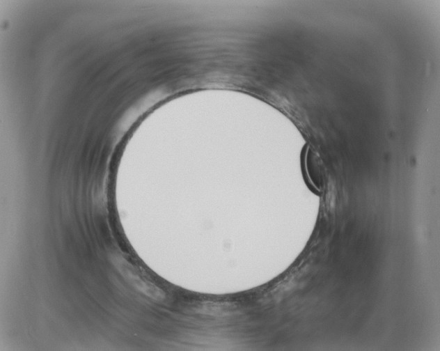 X0000086040292200704202018