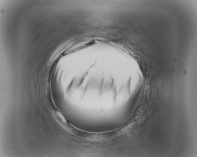 X0000086040293200704202018