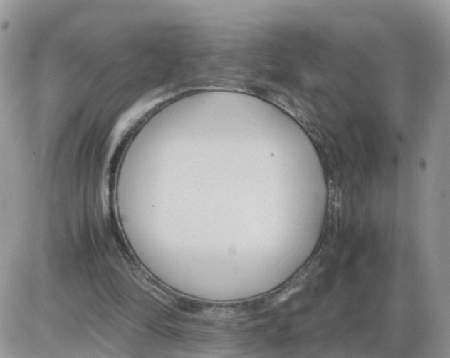 X0000086040294200704202018