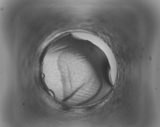 X0000086040295200704202018