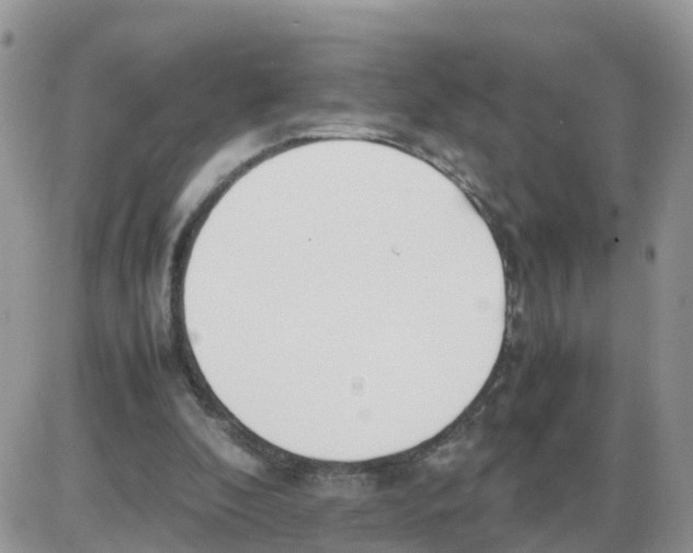 X0000086040296200704202018