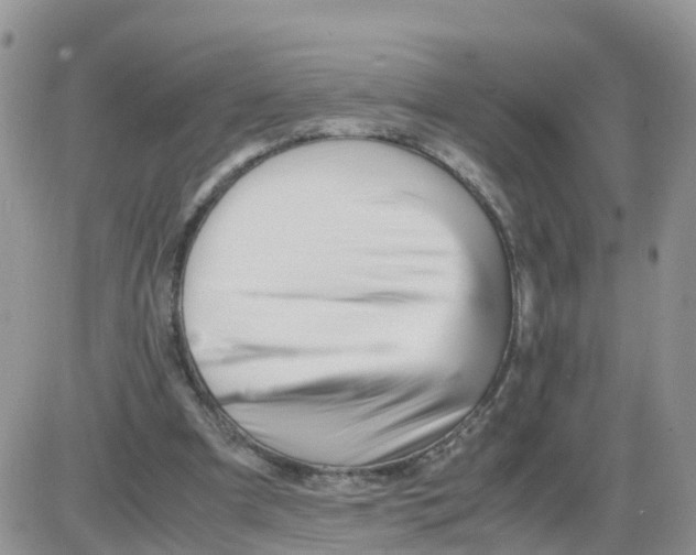 X0000086040297200704202018