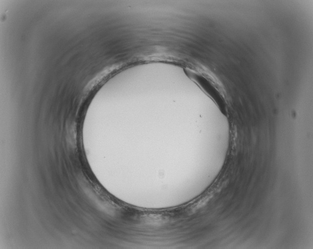 X0000086040298200704202018