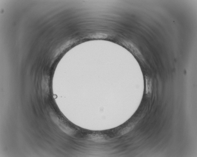 X0000086040300200704202018