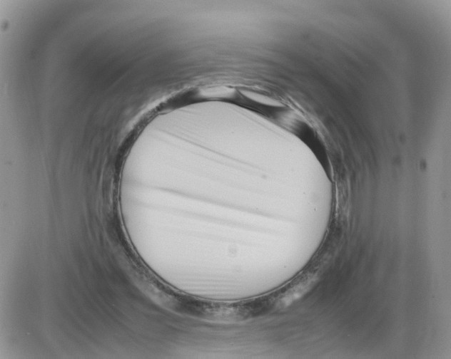 X0000086040301200704202018