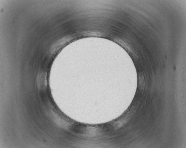 X0000086040302200704202018