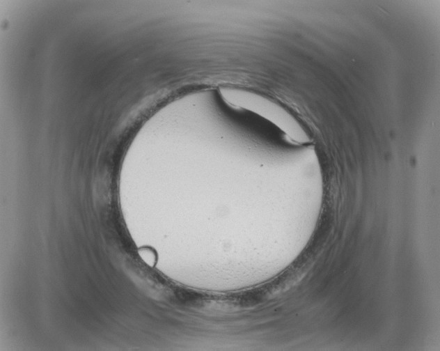 X0000086040303200704202018