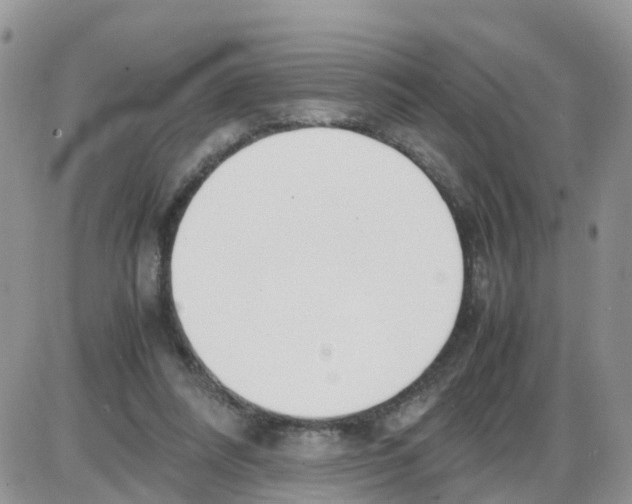 X0000086040304200704202018