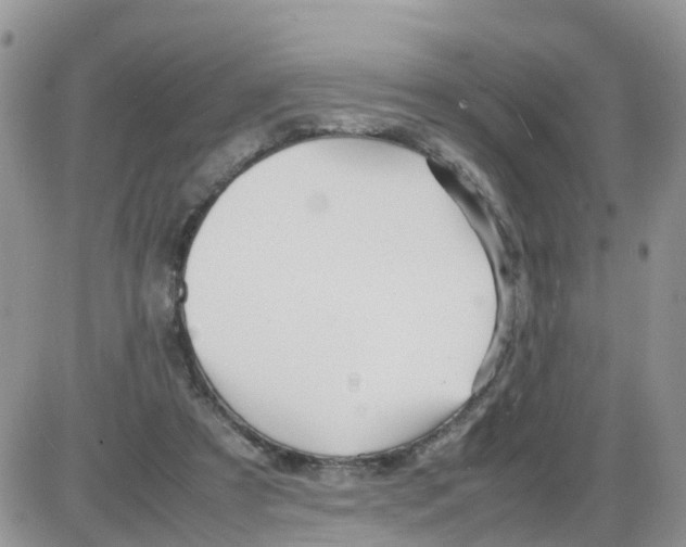 X0000086040305200704202018