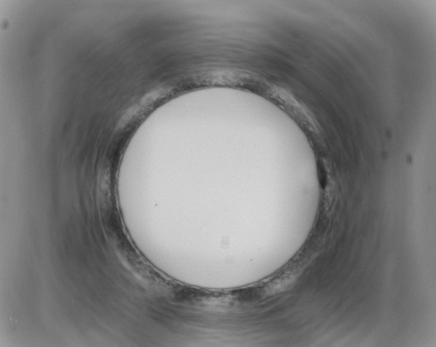 X0000086040306200704202018