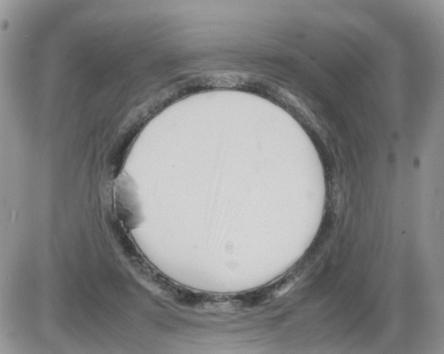 X0000086040307200704202018