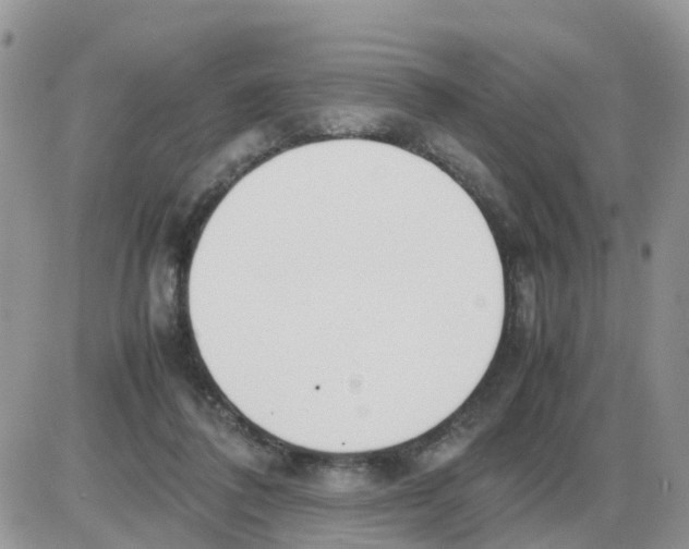 X0000086040308200704202018