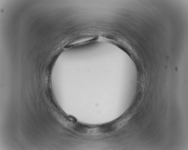 X0000086040309200704202018