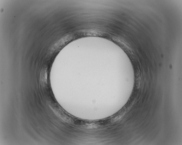 X0000086040310200704202017