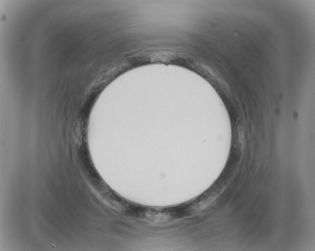 X0000086040311200704202017