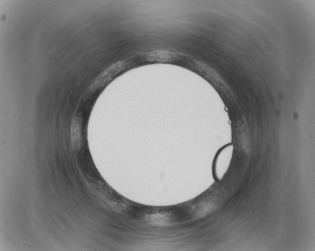 X0000086040312200704202017