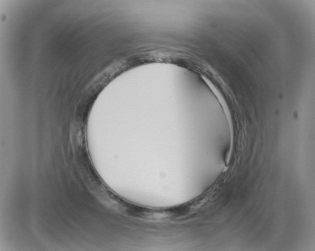 X0000086040313200704202017