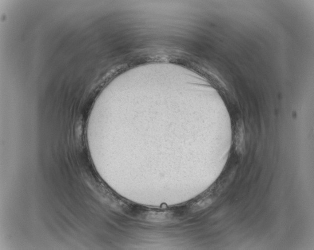 X0000086040314200704202017