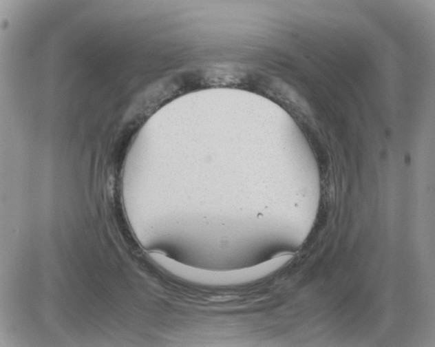 X0000086040315200704202017