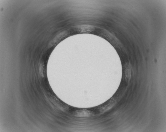 X0000086040316200704202017