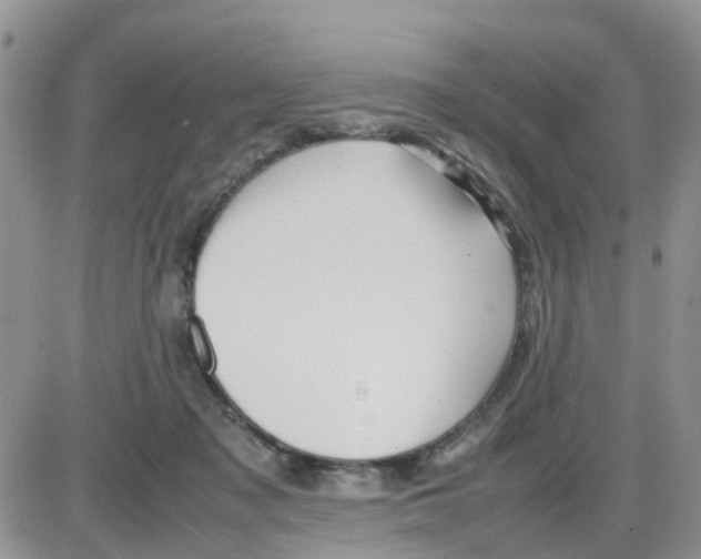 X0000086040317200704202017