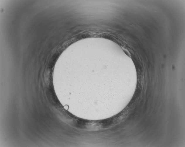 X0000086040319200704202017