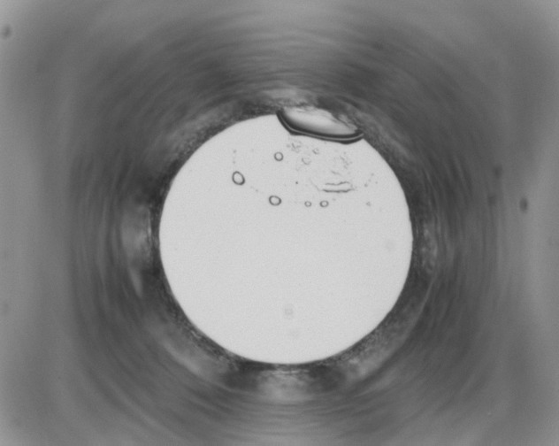 X0000086040320200704202017