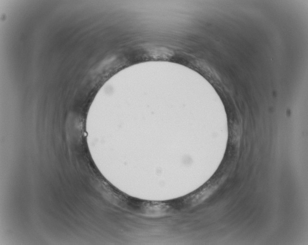 X0000086040321200704202017