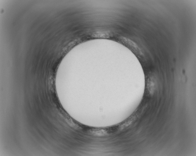 X0000086040322200704202017