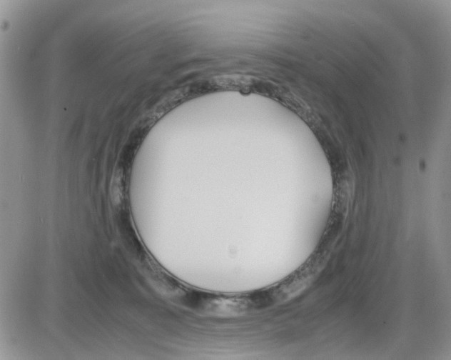 X0000086040323200704202017