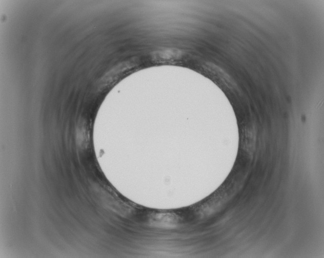 X0000086040324200704202017