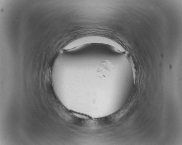 X0000086040325200704202017