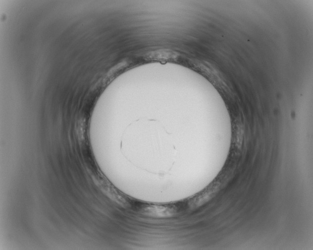 X0000086040326200704202017