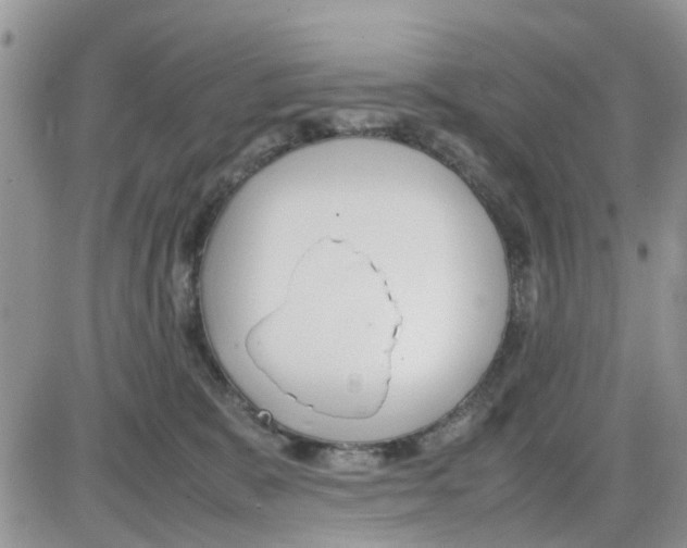 X0000086040327200704202017